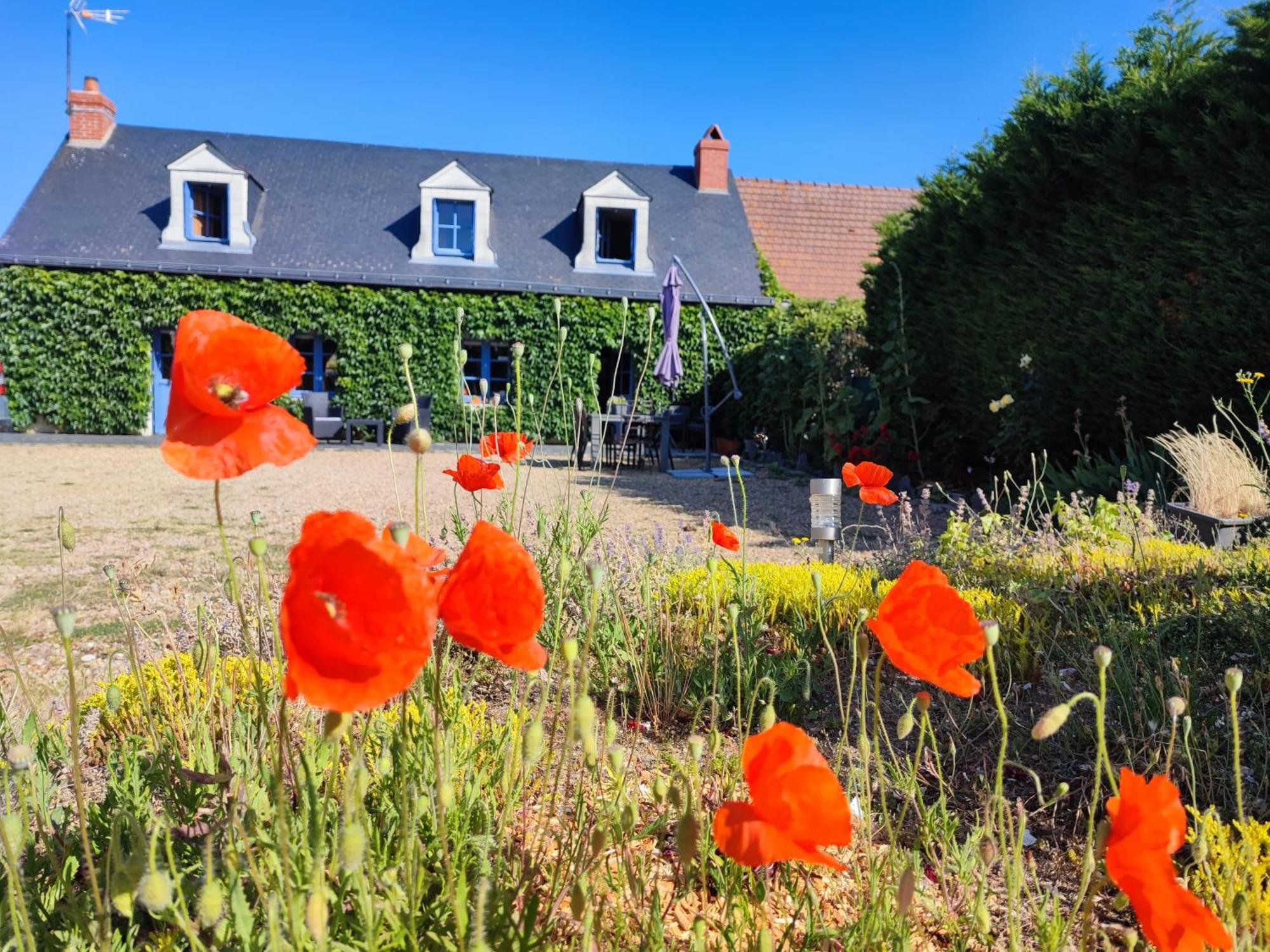 Le Clos Champetre Longué Zewnętrze zdjęcie